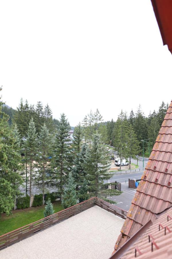 Vila Pinul Si Mesteacanul Poiana Brașov Zewnętrze zdjęcie