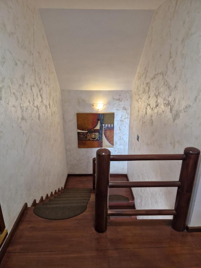Vila Pinul Si Mesteacanul Poiana Brașov Zewnętrze zdjęcie