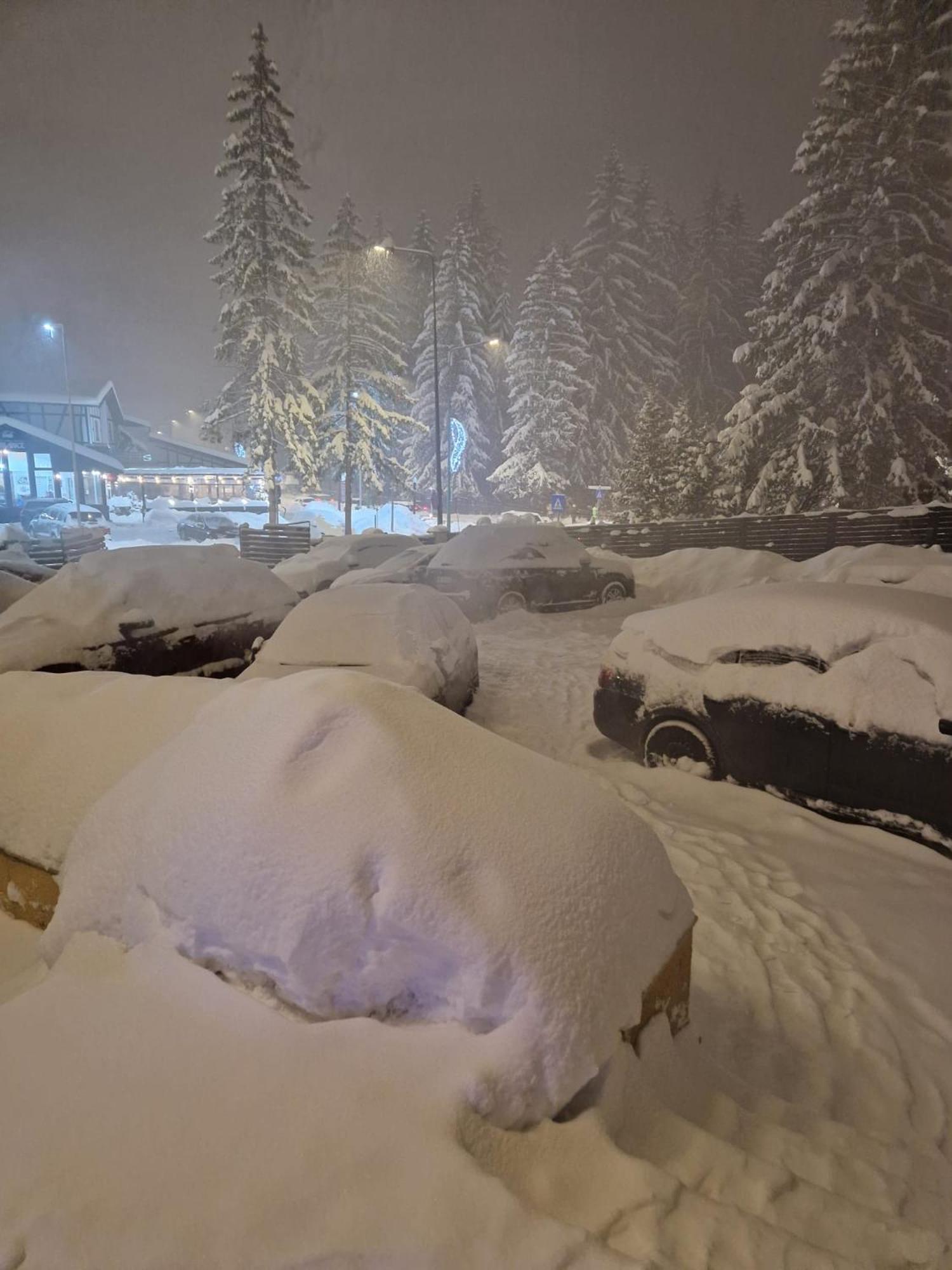 Vila Pinul Si Mesteacanul Poiana Brașov Zewnętrze zdjęcie