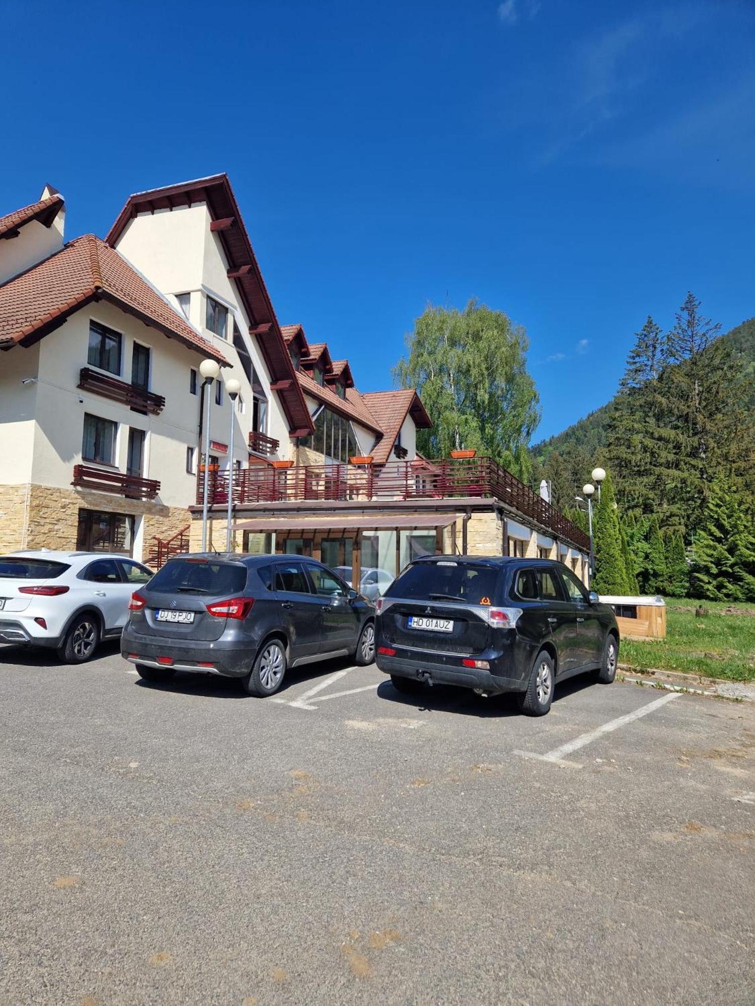 Vila Pinul Si Mesteacanul Poiana Brașov Zewnętrze zdjęcie