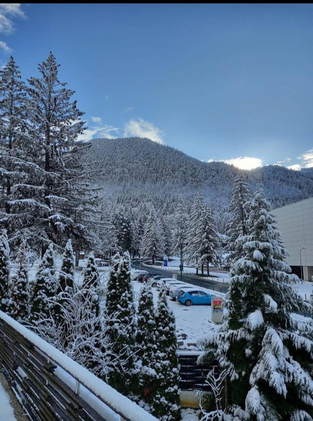 Vila Pinul Si Mesteacanul Poiana Brașov Zewnętrze zdjęcie