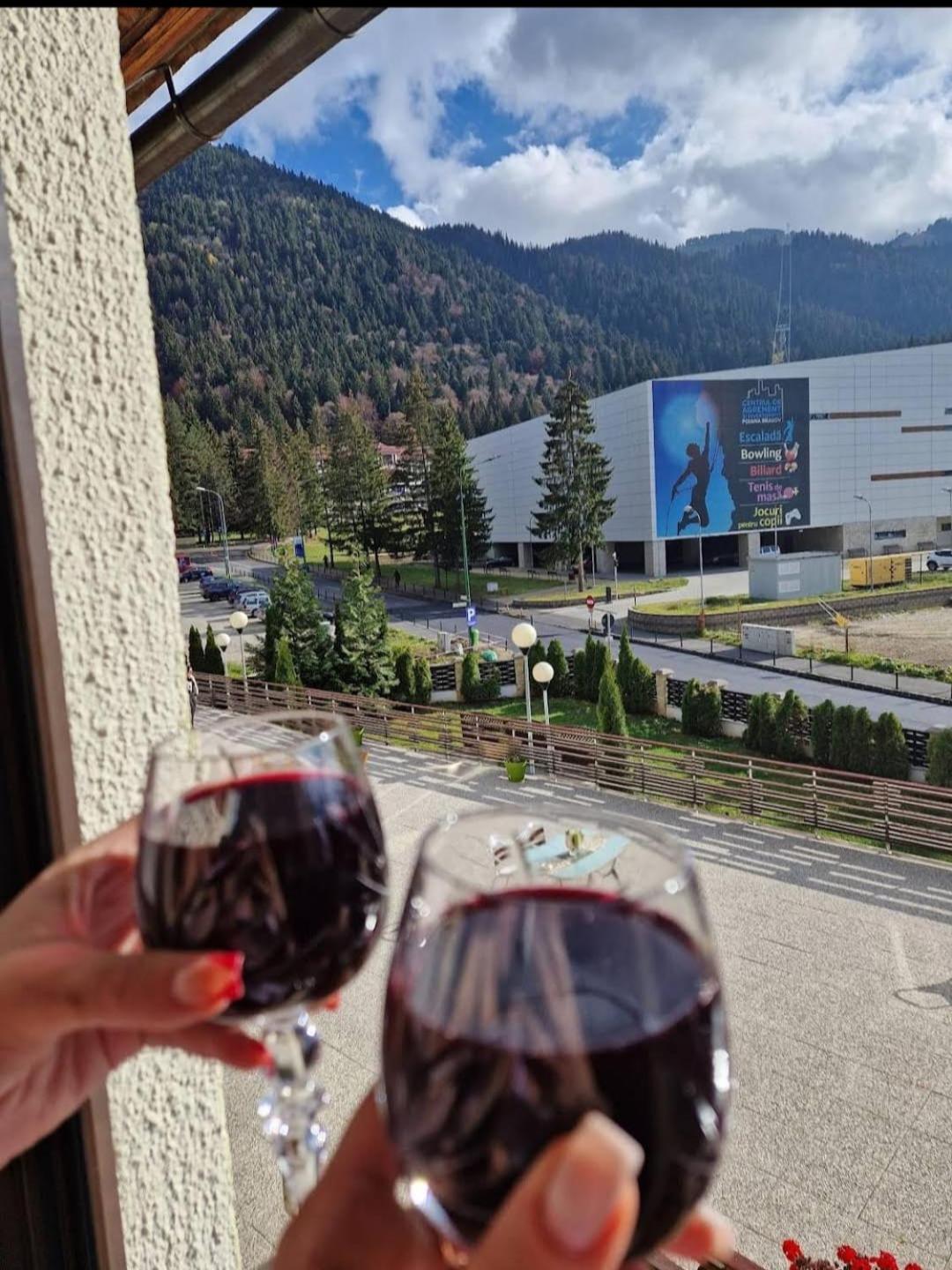 Vila Pinul Si Mesteacanul Poiana Brașov Zewnętrze zdjęcie